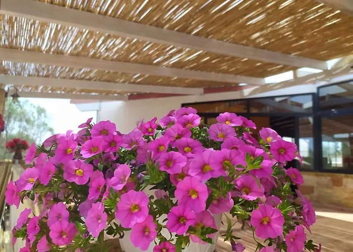 Agriturismo \